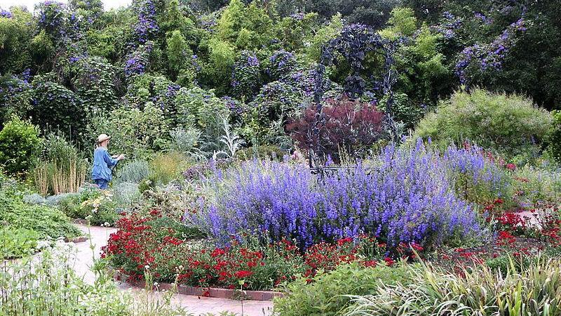 Grow some easy-care, colorful plants near your edible garden to invite pollinators. Creative Commons