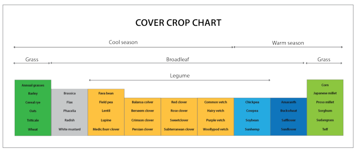 CoverCropchart-01