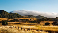 Dry summer hills and fog, typical of our Mediterranean climate