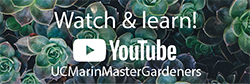 MMG Image button - YouTube-01