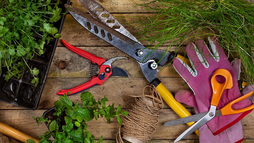 Winter is a good time to clean and sharpen tools. Photo:  Piqsels