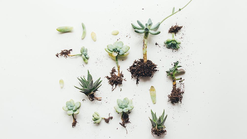 Corrine Kutx, Unsplash