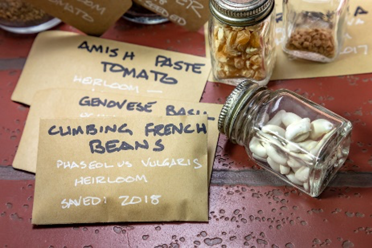 Store seeds in airtight containers in a cool, dark location.