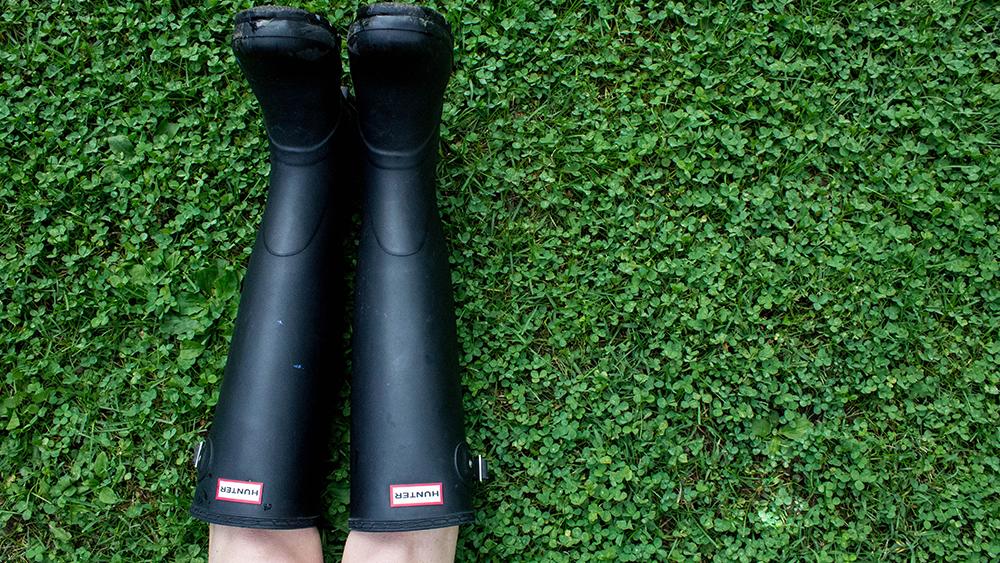 White clover is a walkable lawn alternative that works in sun or shade and does not show pet stains. Sydney Rae, Unsplash