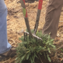 January 2021: Propagation