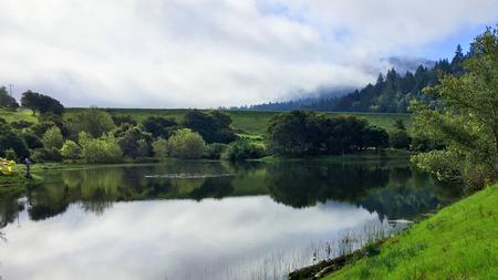 Lagunitas watershed.