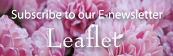 MMG-Image-button---Leaflet