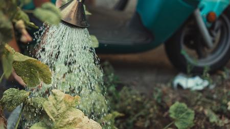 Photo: Jonathan Kemper, Unsplash