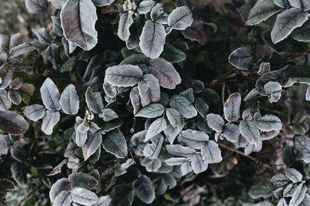 Photo: Piqsels