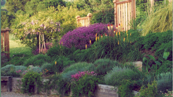 Gardensoft