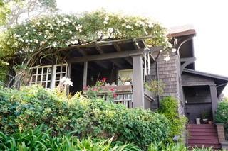 In Zone 0, eliminate climbing plants, and planters made from combustible materials. Photo: Fay Mark