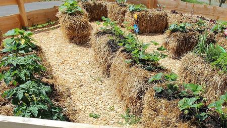 Straw Bale Gardening