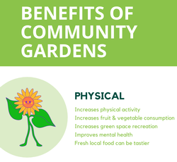 Benefits of gardens graphics