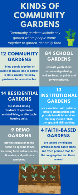 Kinds of community gardens image