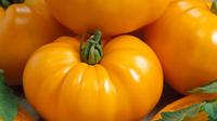 chefs-choice-orange-f1_medium