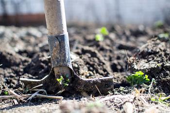 Add compost and a layer of mulch to soil to increase its ability to retain moisture and sequester carbon. Photo: Piqsels