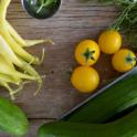 July 2021: Summer Harvesting Tips
