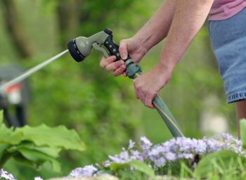 When watering with a hose, have an on/off valve at the use end and shut the water off when moving between plants. Photo: Pixabay