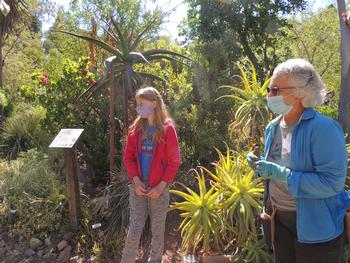 MMGs installed & maintain 6 gardens at Falkirk Cultural Center in San Rafael and take time to tour visitors when they are working. Photo: Diane Lynch