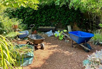 Much of the health of your garden depends on doing your fall chores. Credit: Barbara Robertson