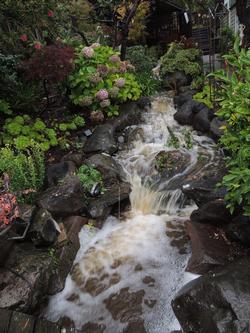 This drainage rill in Tiburon has a catch basin that holds 1100 gallons of water, some of which is stored for garden watering. Photo: Diane Lynch