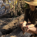 December 2021: Composting & Testing Your Soil