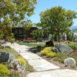 Create areas of defensible space to break up fire’s path to your home.Photo: FireSafe Marin