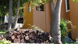 Relocate wood piles and other flammable items at least 30’ from your home. Photo: Fay Mark