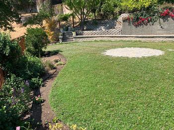 Kurapia is an easy-care groundcover that grows about an inch tall. Bees love the spring-summer flowers you can leave on or mow. Photo: Jo Sherlin