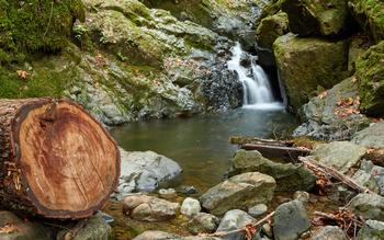 Beautiful Cataract Falls is part of the Mt. Tamalpais watershed.  Photo: Wikimedia Commons