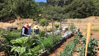 MMGs work in the Indian Valley edible demonstration garden that showcases sustainable agricultural practices.