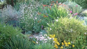 Continue adding compost and mulch to sustain the health of your soil. Photo: SmugMug