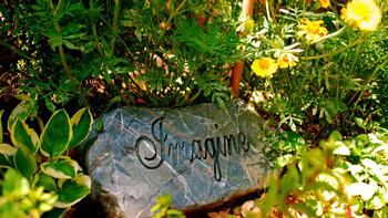 Rich soil brings lush growth and a garden to imagine. Photo: Lisa Ingels