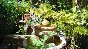 This lush garden started with compacted clay soil.  Amendments work! Photo: Lisa Ingels