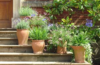 You may need to fertilize plants growing in containers more frequently as regular watering can leach nutrients from the soil over time. Photo: PxHere