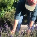 October 2022: The Many Benefits of Growing Herbs