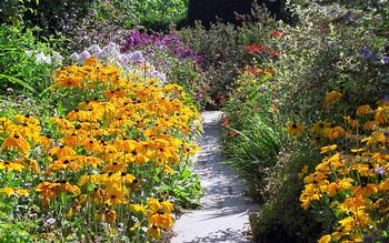 To build healthy soil, don't disturb it, avoid synthetic fertilizers, and fill your garden with a wide variety of plants. Photo: ukgardenphotos