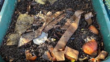 Newspaper or cardboard provides a carbon source and kitchen scraps a nitrogen source for a worm bin. Marty Nelson