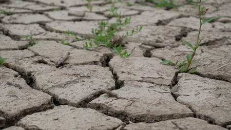 Clay soil is a familiar Marin County complaint. Photo: pixabay
