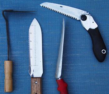 Disinfectant wipes are an easy way to make certain you don't spread disease in your garden with your tools. Photo: SmugMug