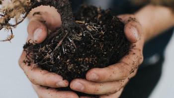 Healthy soil contains millions of living organisms that provide the nutrients that plants need to thrive. Photo: Ellefson, unsplash