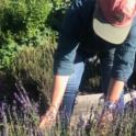 June 2023: Gardening Organically