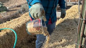 Organic amendments are decomposed by microorganisms to make essential nutrients available to plants.