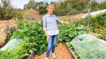 Marin Master Gardener Joan Kozlowski points to crops ready for harvest at the Edible Demonstration Garden in Novato. Photo: Linda Stiles