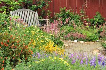 California native penstemon, monkey flower, coral bells & coffeeberry are easy, low-water, and invite pollinators into the garden. Photo: Jeff Silva