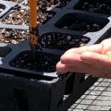 September 2023: Starting With Seeds