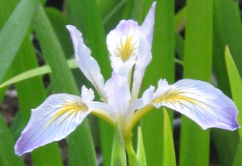Photo: Las Pilitas