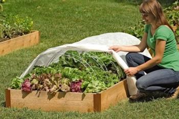 Row covers provide frost protection, encourage faster plant growth and help keep deer and other pests from eating your plants. Photo: Creative Commons