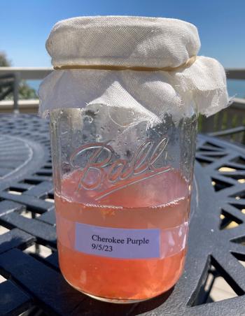 Fermenting tomato seeds will form mold in 3-4 days.  Remove the layer of mold & bad seeds and rinse good seeds at the bottom of the jar.