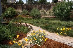 California native gardens are naturally adapted to our conditions and provide many other benefits. Photo: Vicki Anderson
